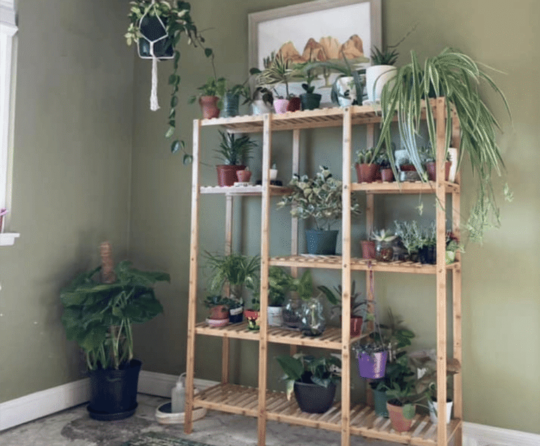 10 Best Places To Sell Plants To Make Money