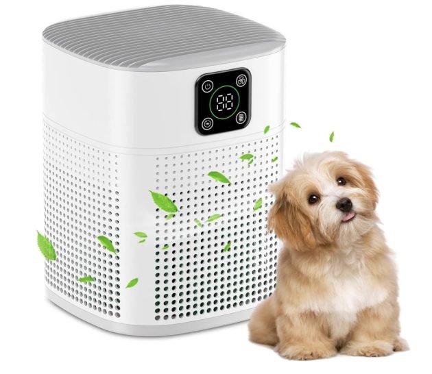 Air Purifier for Large Room only $24.84 shipped (Reg. $100!), plus more!