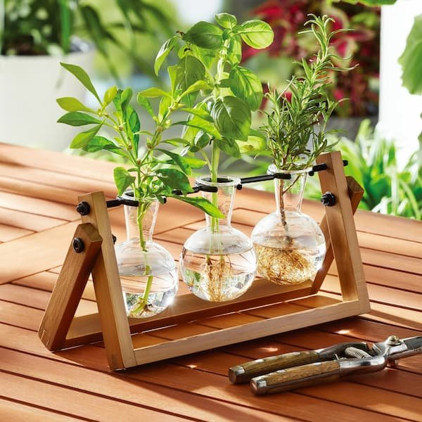 Better Homes & Gardens Propagation Station Set only $9.97!
