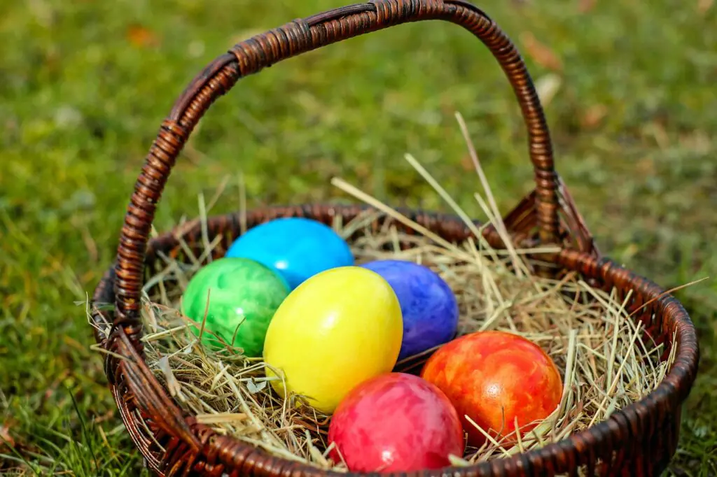 Portfolio Diversification for Beginners: How to Reduce Risk and Build a Strong Investment Portfolio 3 Don't put all your eggs in one basket investing